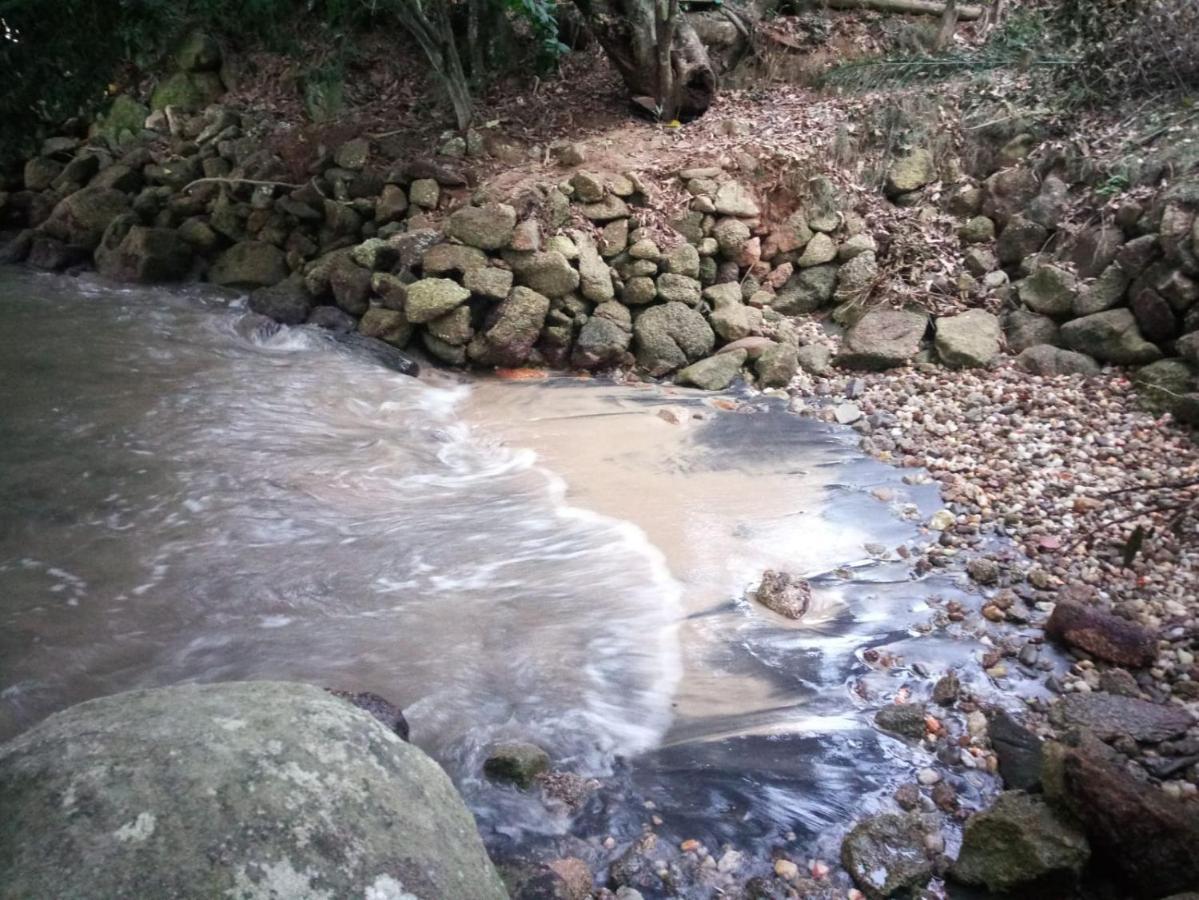 Casa Com No Quintal